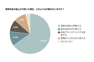 電気代値上げに99.1％が不安　65.2％が「節電」で対策へ