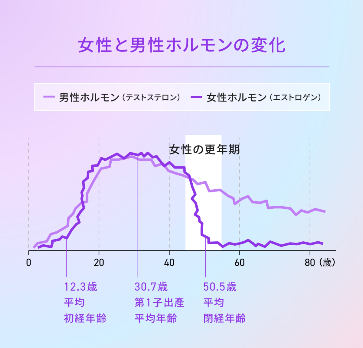女性と男性ホルモンの変化を示す図版