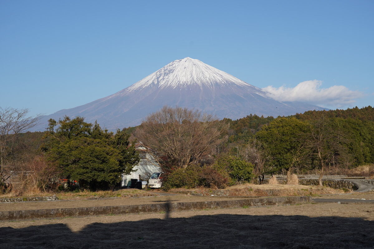 富士錦酒造から望む富士山。間近に迫るような雄大な姿が印象的