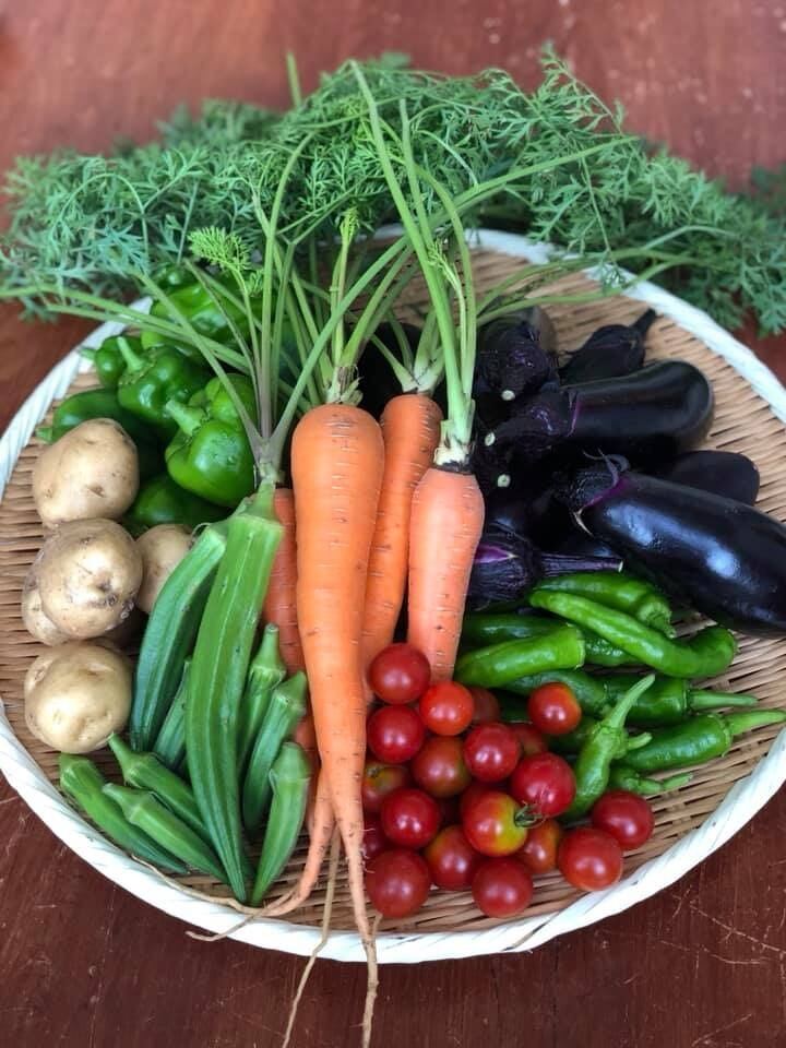 工藤さんの畑で採れた野菜たち