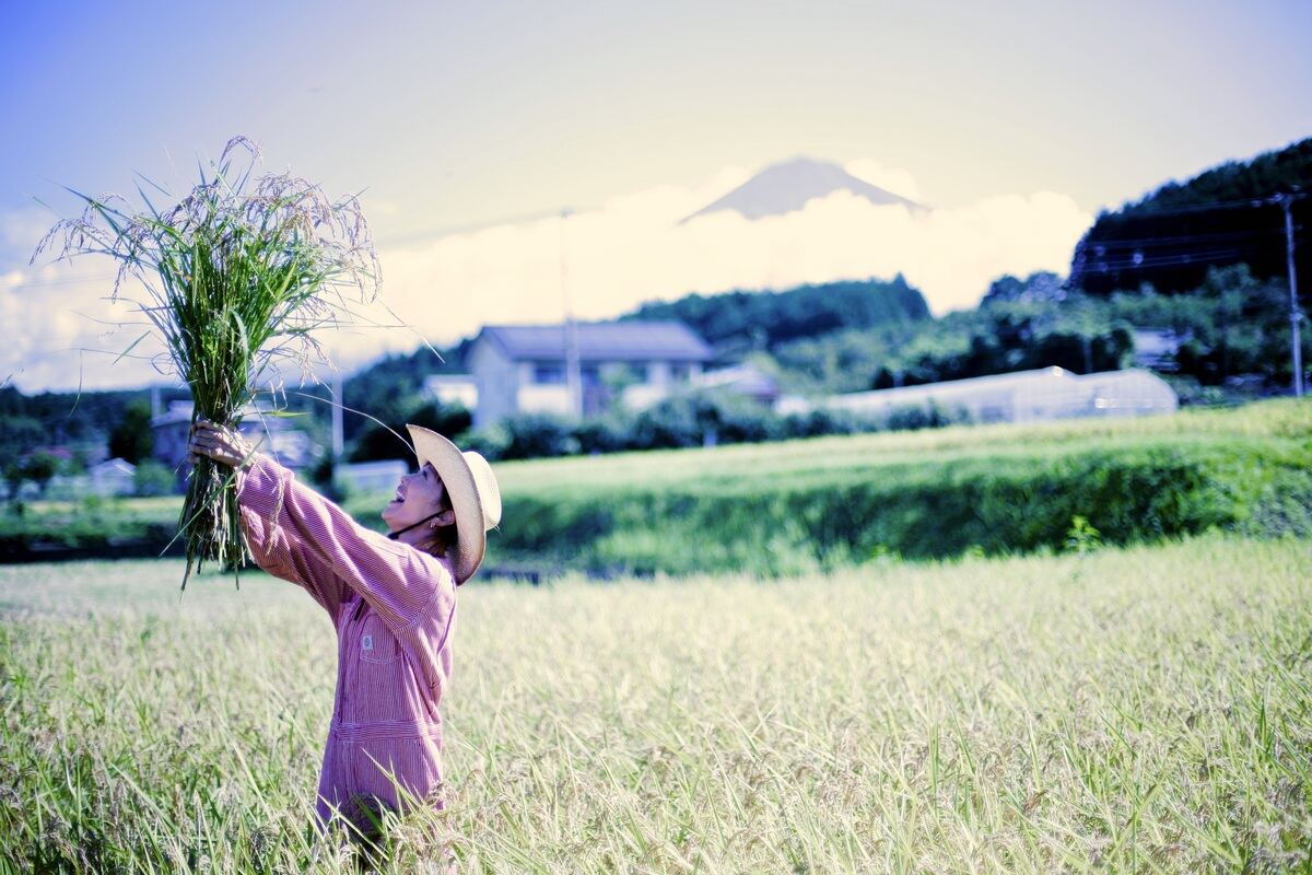田んぼでは自ら除草作業に入り、ときには一日中作業することも