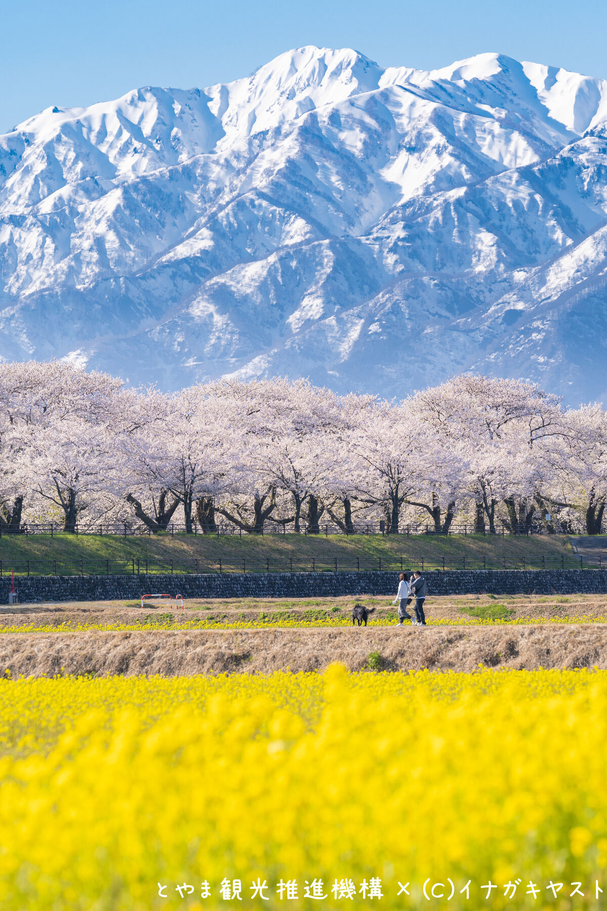 イナガキヤストさんが切り取る富山の景色